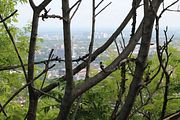 26 - Montreal - IMG_0574